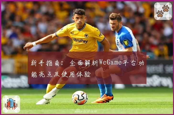 新手指南：全面解析WeGame平台功能亮点及使用体验